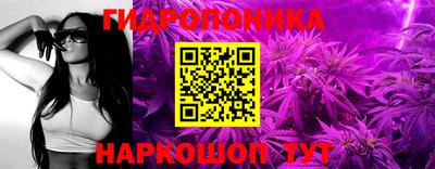 крисы Малоярославец