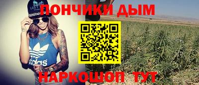 PSILOCYBIN Малгобек