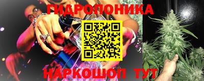 крисы Малоярославец